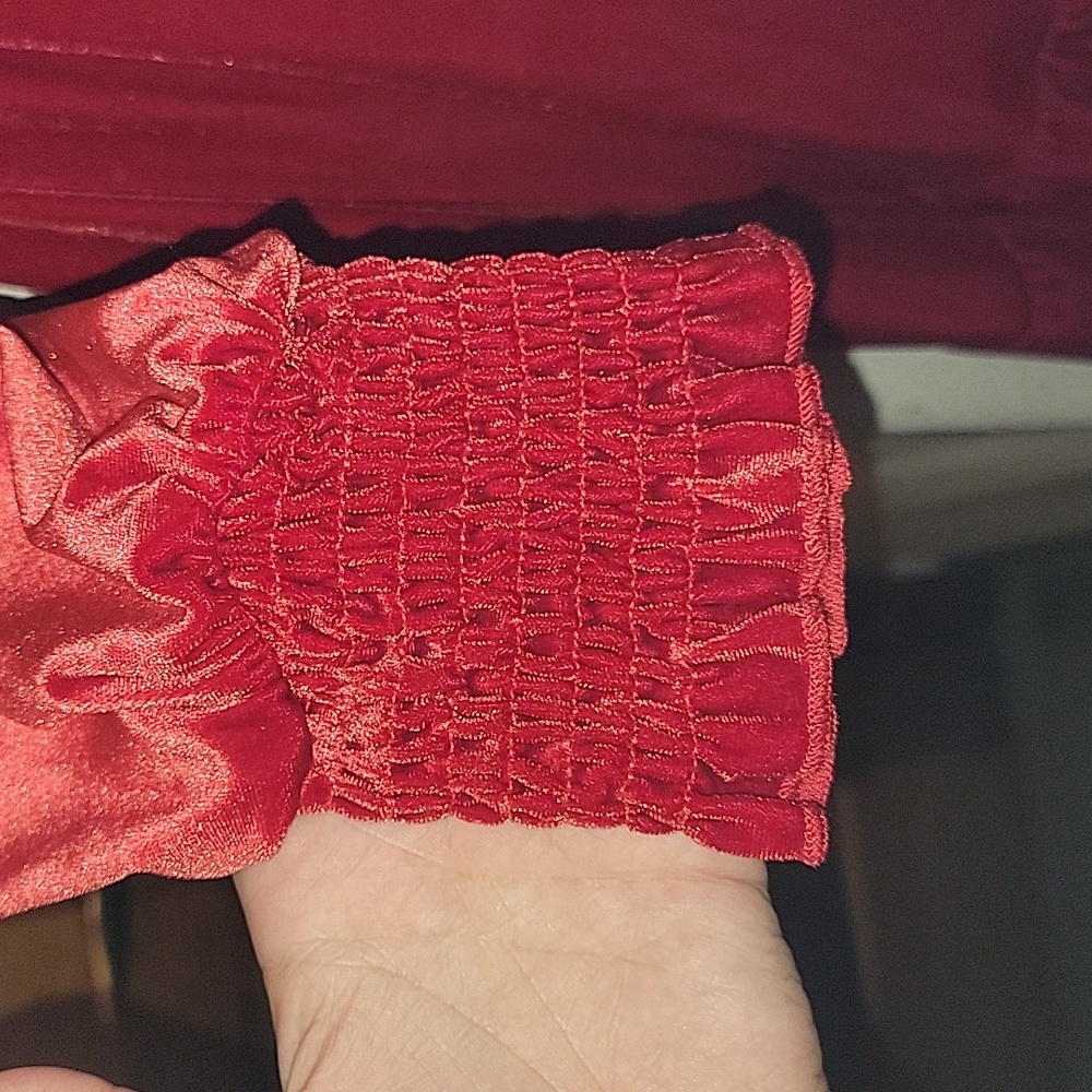 Long Sleeve Velvet Dress - Picture 12 of 14